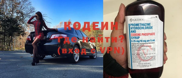 прущие грибы Абаза